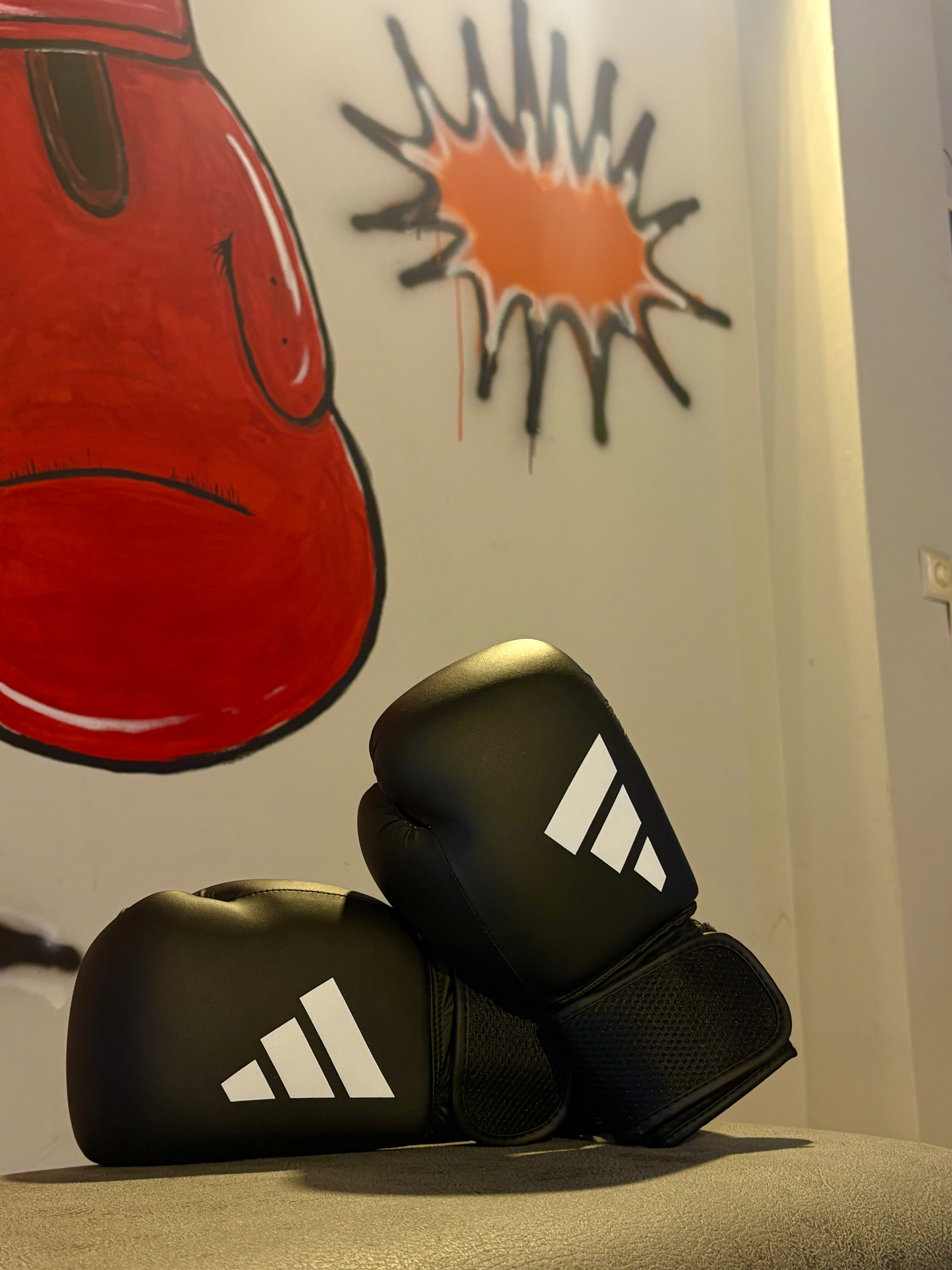 Hybrid 25 boxing gloves